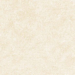 Gạch lát 50x50 Prime Build 13.500500.02571